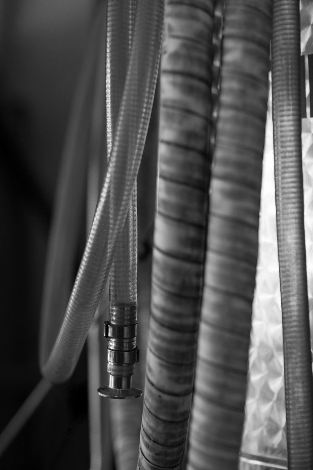 Hoses in black and white